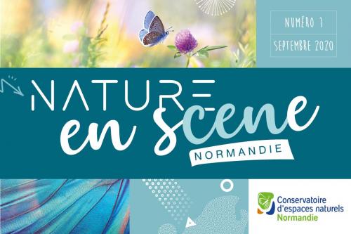 Lettre d’info “Nature en sCENe Normandie”, no 1, septembre 2020